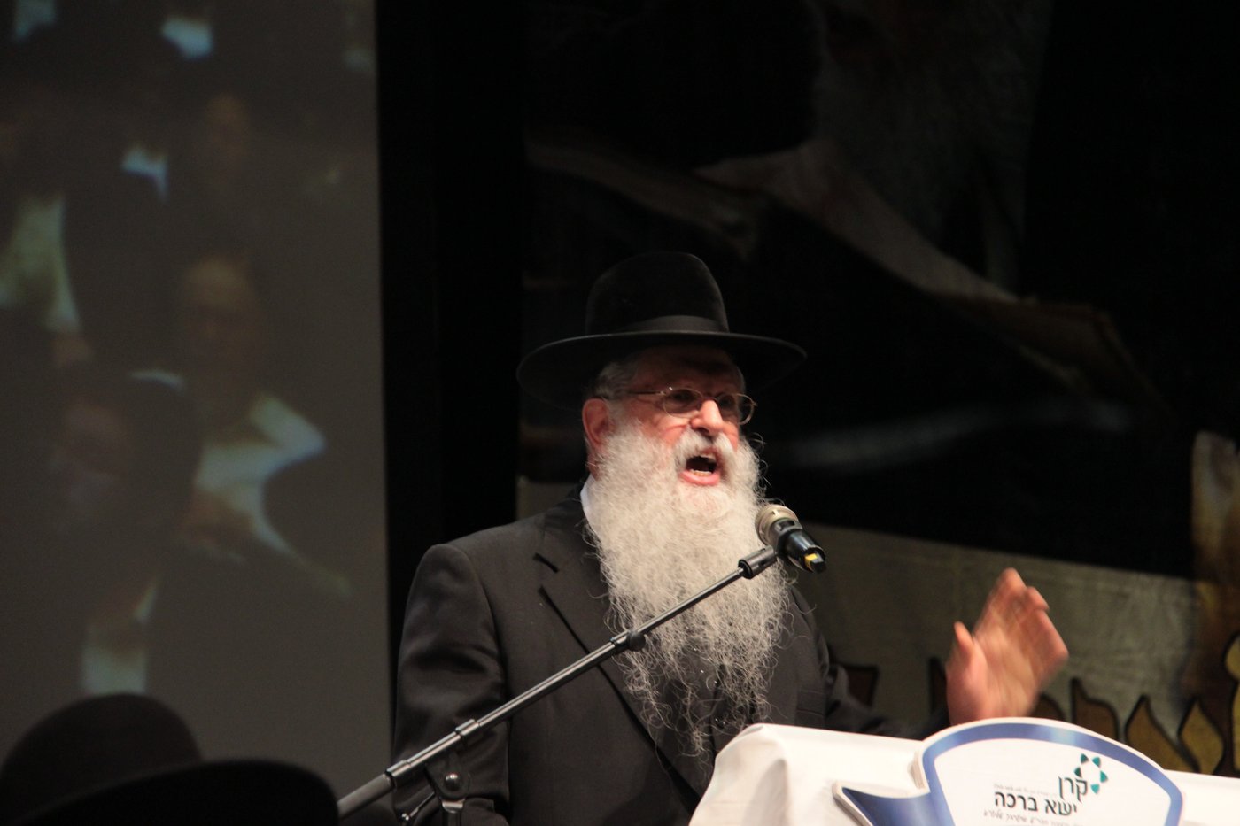 שנה לרב אלישיב בבנייני האומה • גלריה שניה