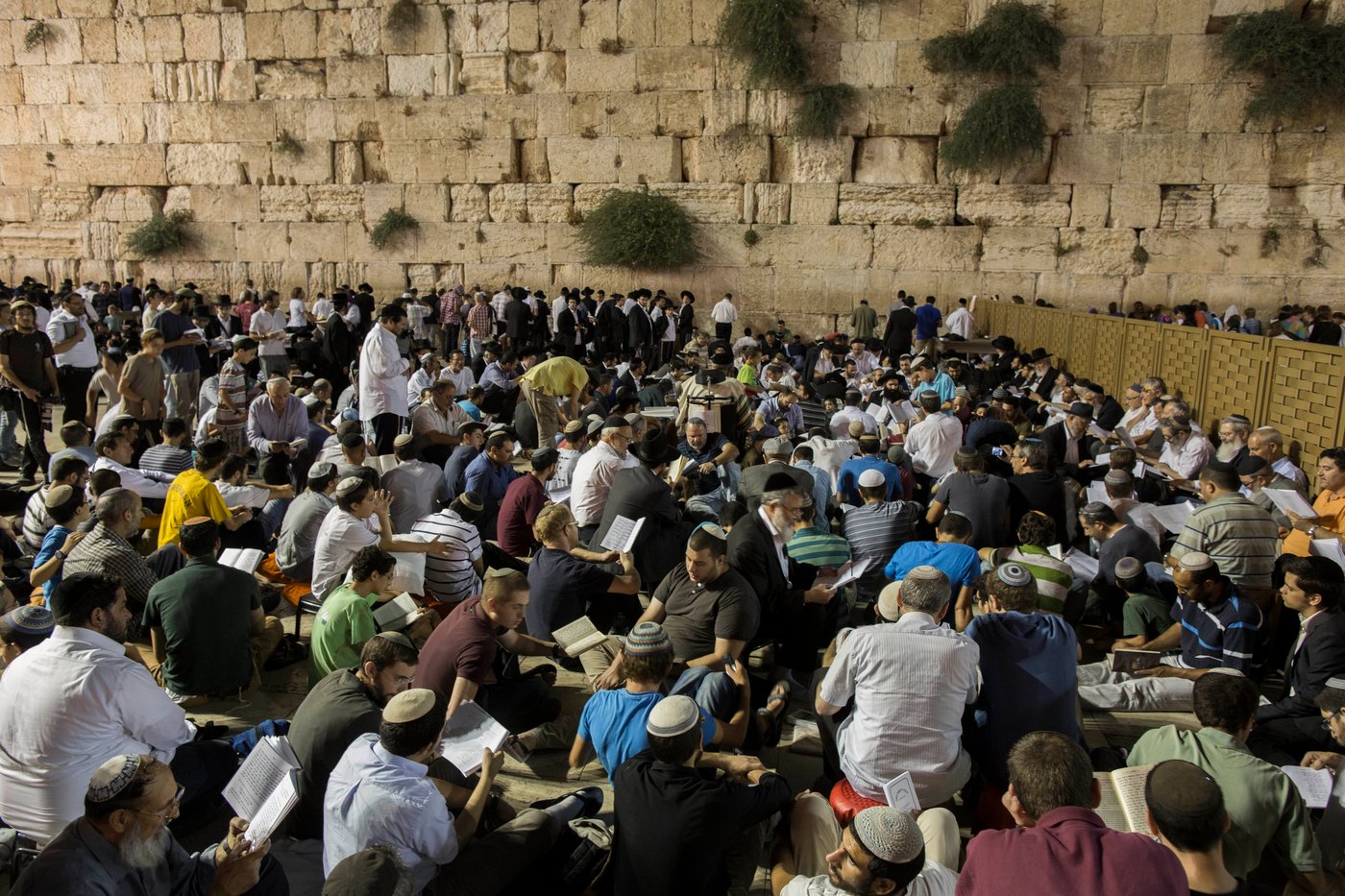 עַל הַר-צִיּוֹן שֶׁשָּׁמֵם: אלפים מתאבלים בכותל • גלריה