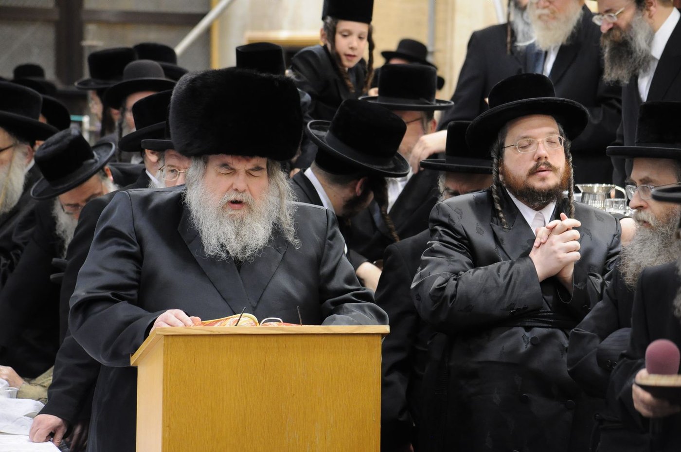 סגירת מעגל בבעלזא: חתונת הנכדה - בתאריך חתונת הנכד