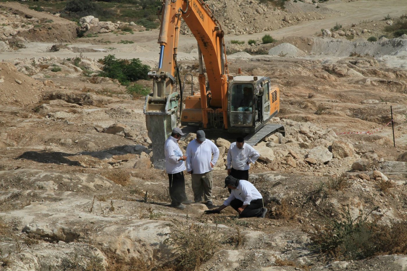 מאבק הבניה בבית שמש: 100 מפגינים, 19 עצורים