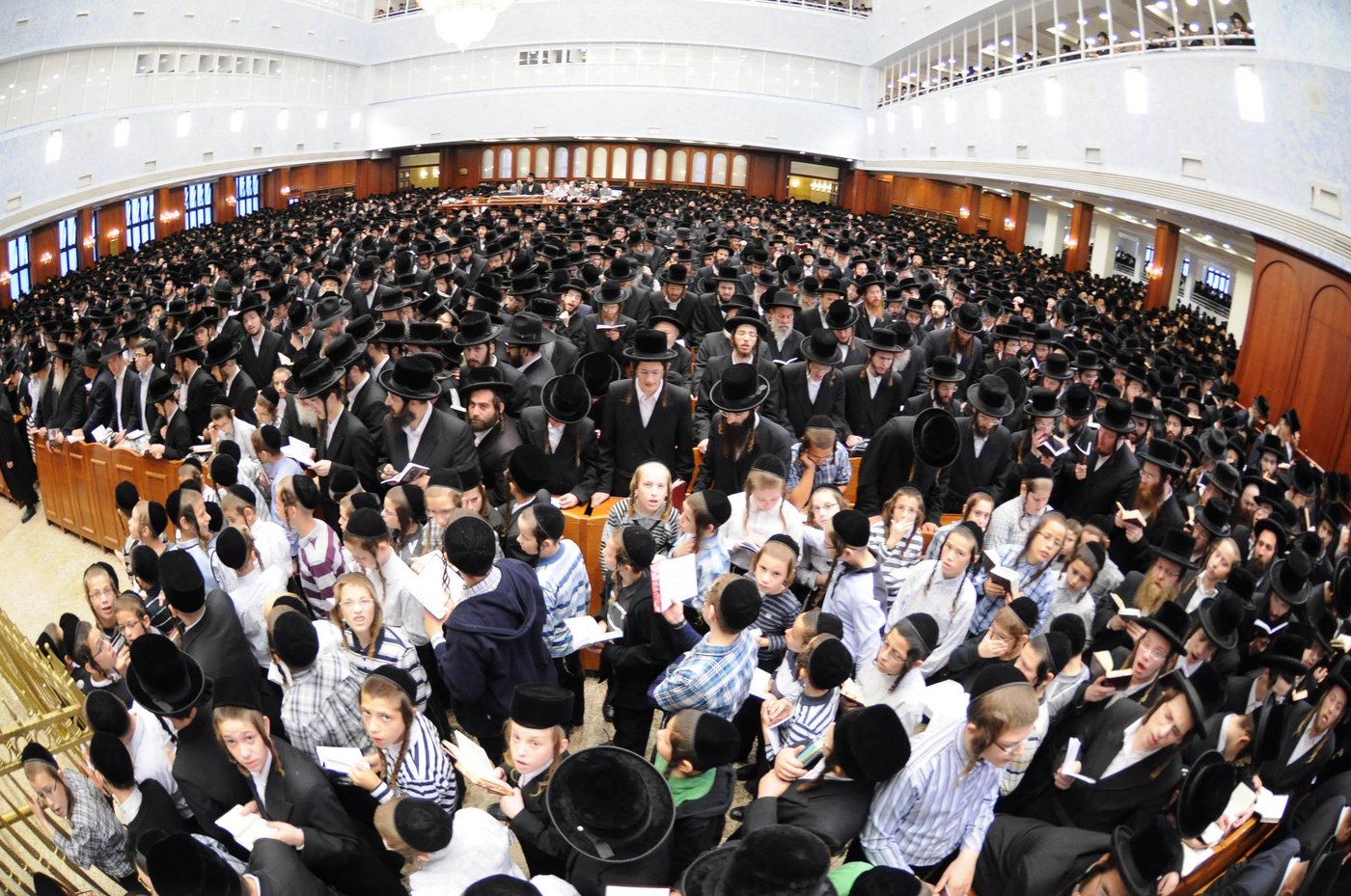 באשמורת הבוקר: אלפים בסליחות בבעלזא • גלריה