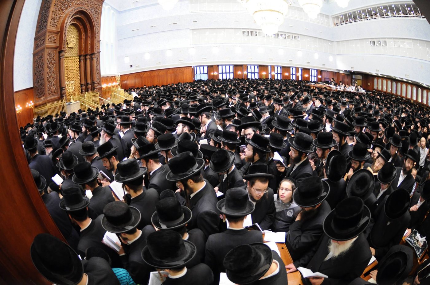 באשמורת הבוקר: אלפים בסליחות בבעלזא • גלריה