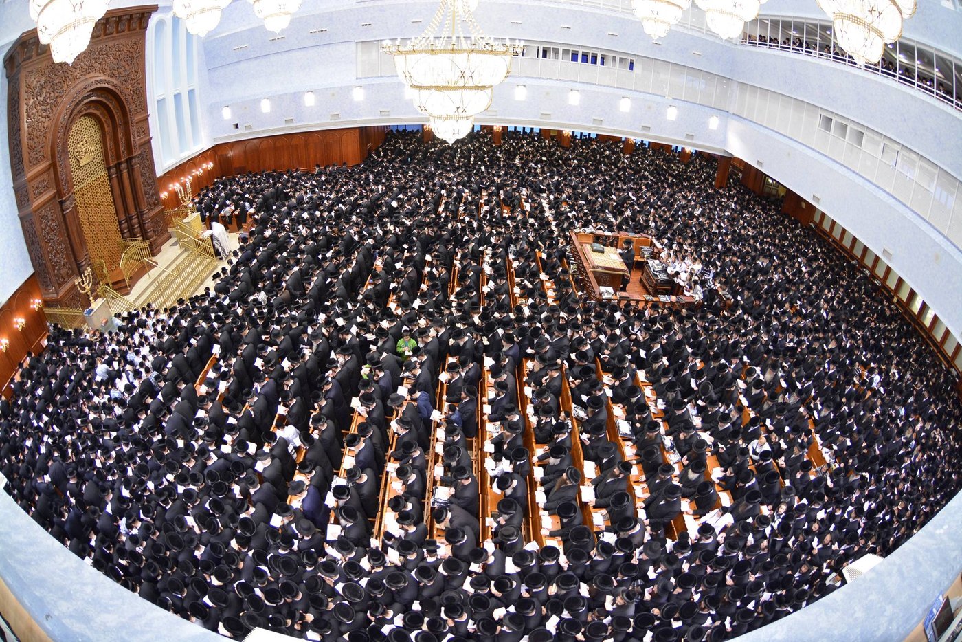 באשמורת הבוקר: אלפים בסליחות בבעלזא • גלריה