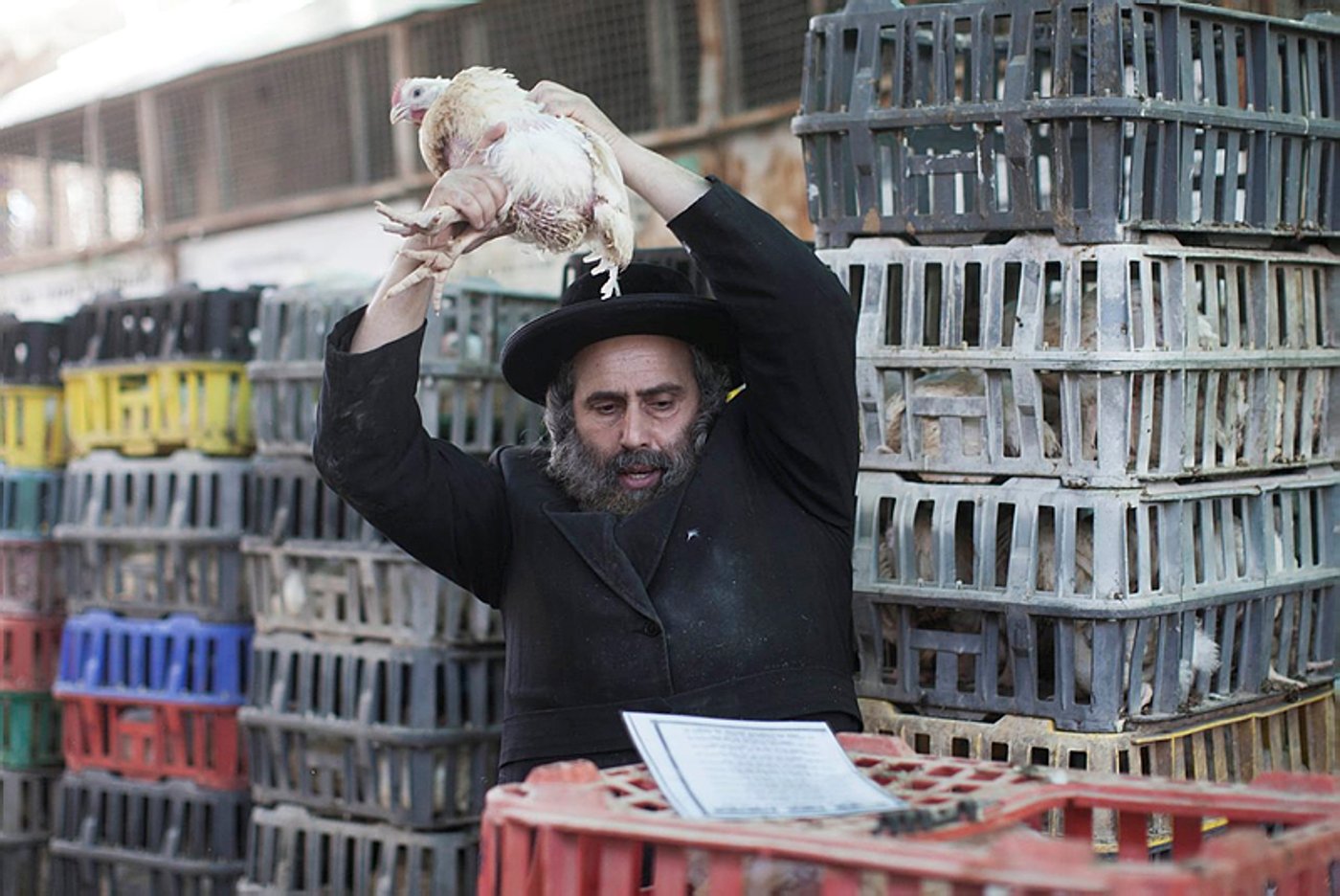 מצווה הבאה בעבירה? מנהג הכפרות