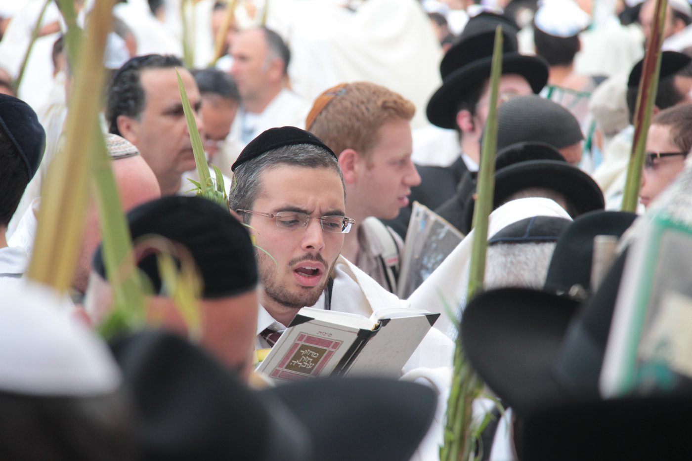 30 אלף איש בברכת כהנים • וידאו וגלריה