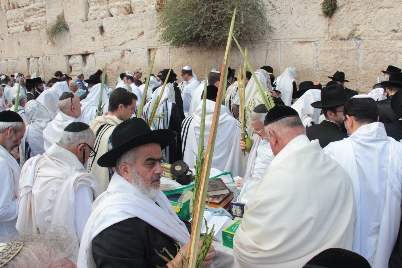 30 אלף איש בברכת כהנים • וידאו וגלריה
