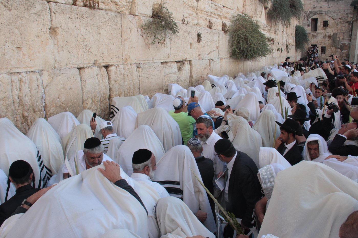 30 אלף איש בברכת כהנים • וידאו וגלריה