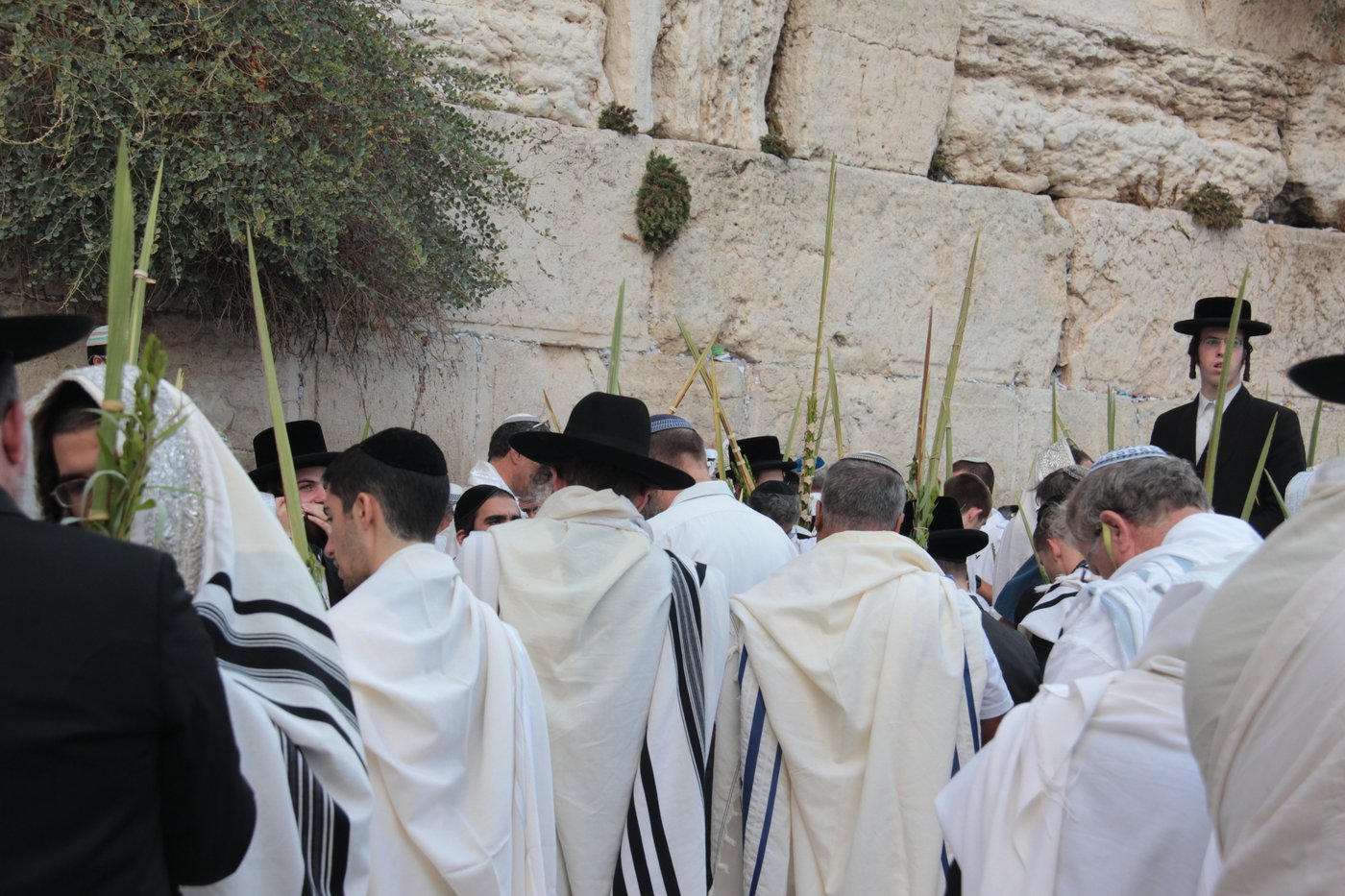 30 אלף איש בברכת כהנים • וידאו וגלריה