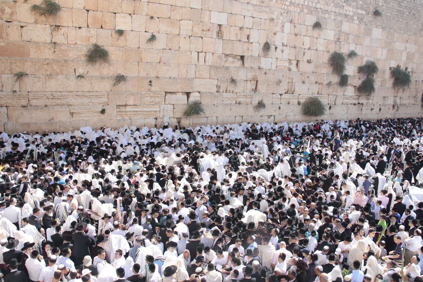 30 אלף איש בברכת כהנים • וידאו וגלריה
