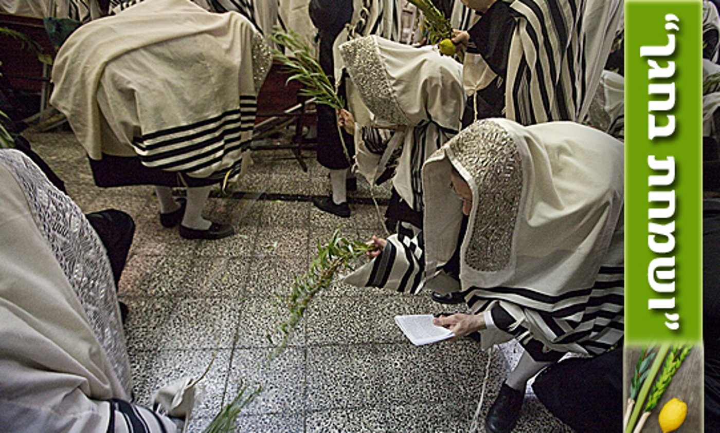 הוֹשִׁיעָה אֶת עַמֶּךָ • תיעוד: הושענא רבה בחצרות הקודש ובכותל המערבי