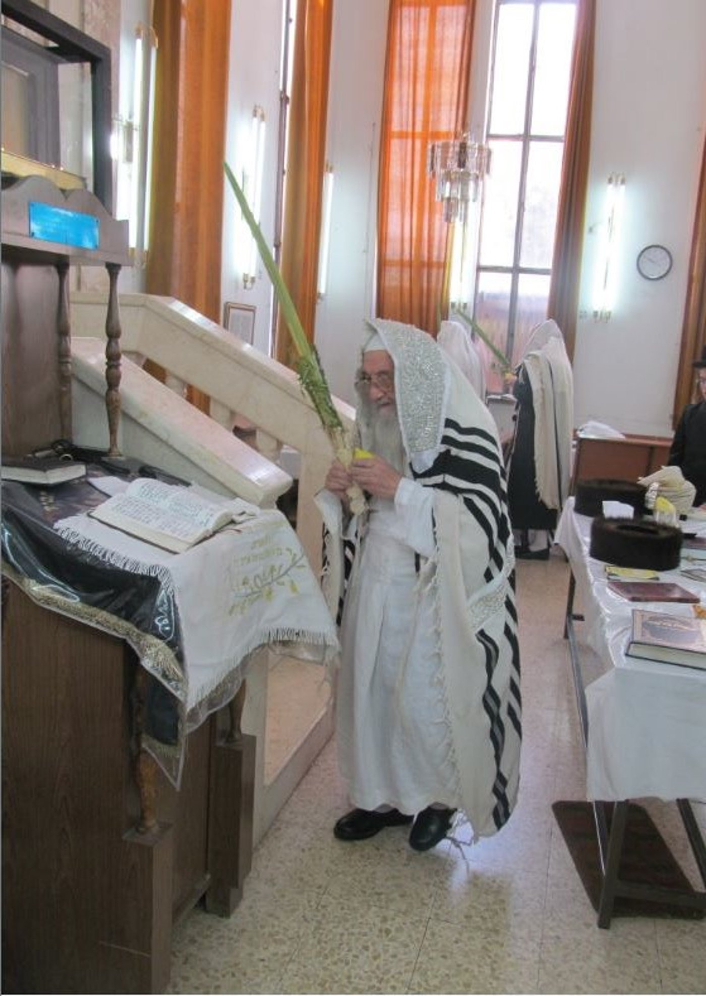 סוכות, גרסת ספינקא בני ברק • גלריה