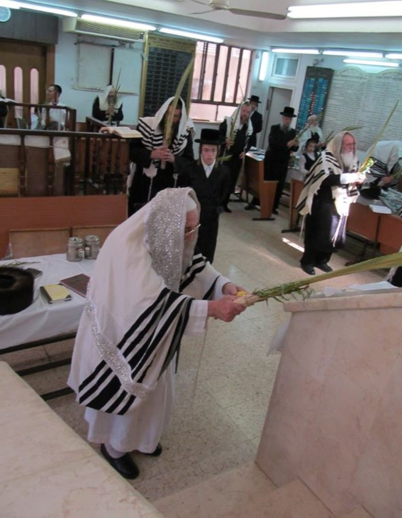 סוכות, גרסת ספינקא בני ברק • גלריה