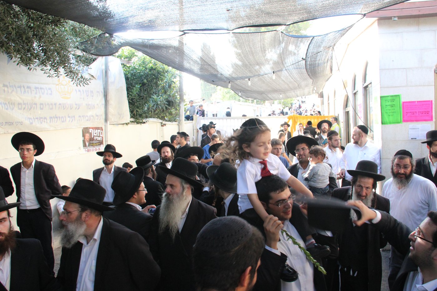 הילולת שמעון הצדיק: אלפים העתירו על הגרח"ע יוסף