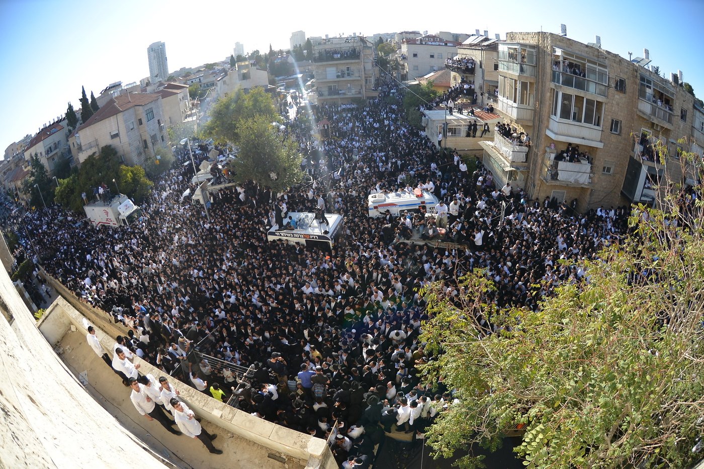 מסע הלוויה: מיליון נפרדים, מאה תמונות • גלריה