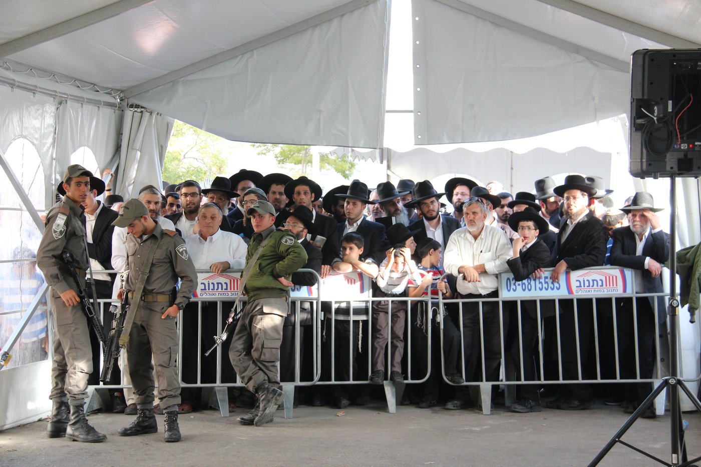 אלפי מנחמים, מאה תמונות • גלריה