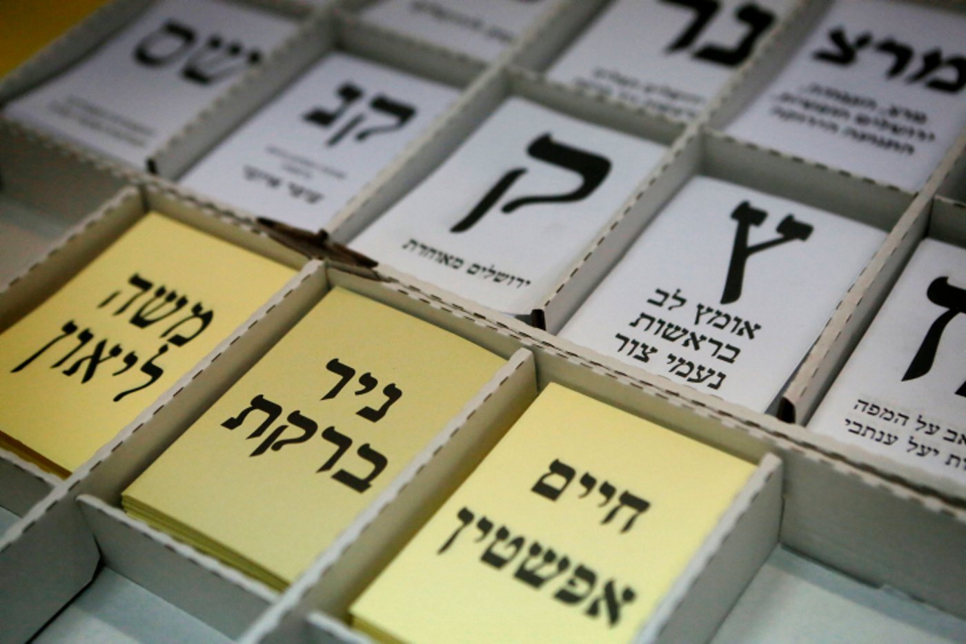 הפוליטיקאים מצביעים • גלריה מתעדכנת
