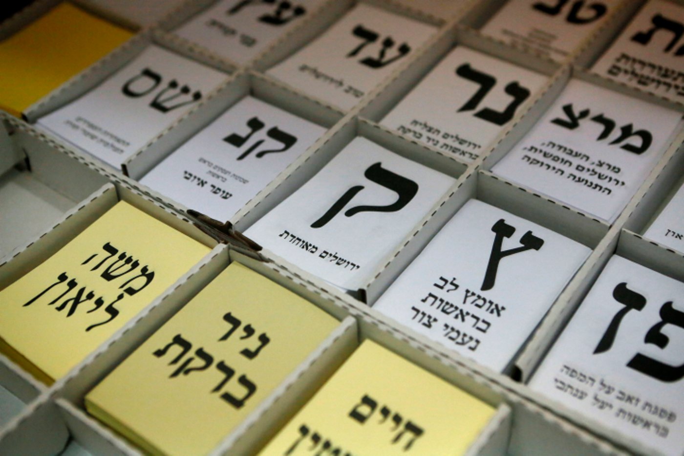 הפוליטיקאים מצביעים • גלריה מתעדכנת