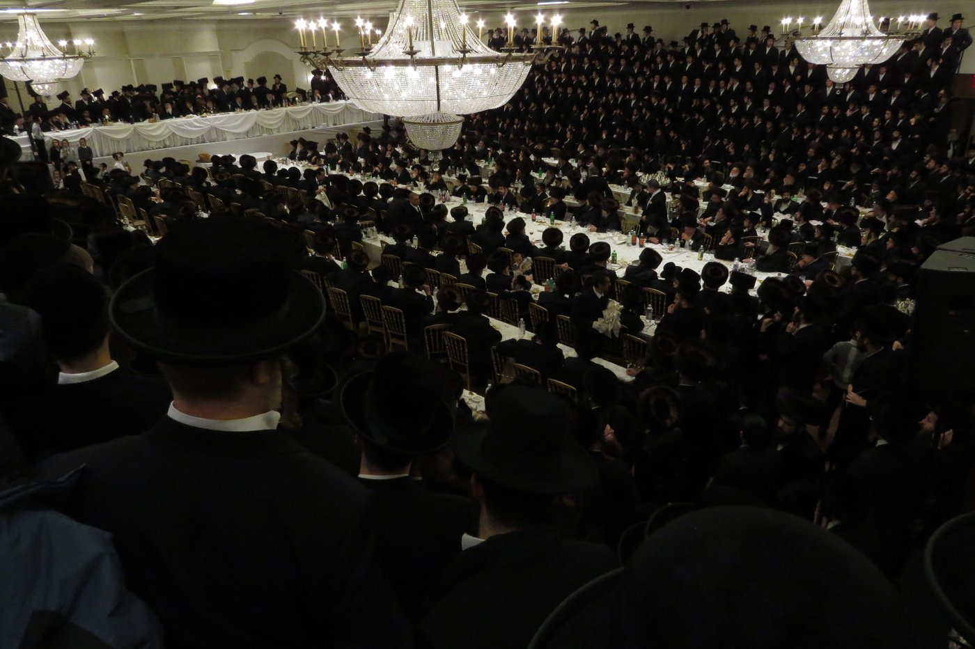 שבע ברכות לנכדי האדמו"רים מויז'ניץ ומסקווירא • גלריה