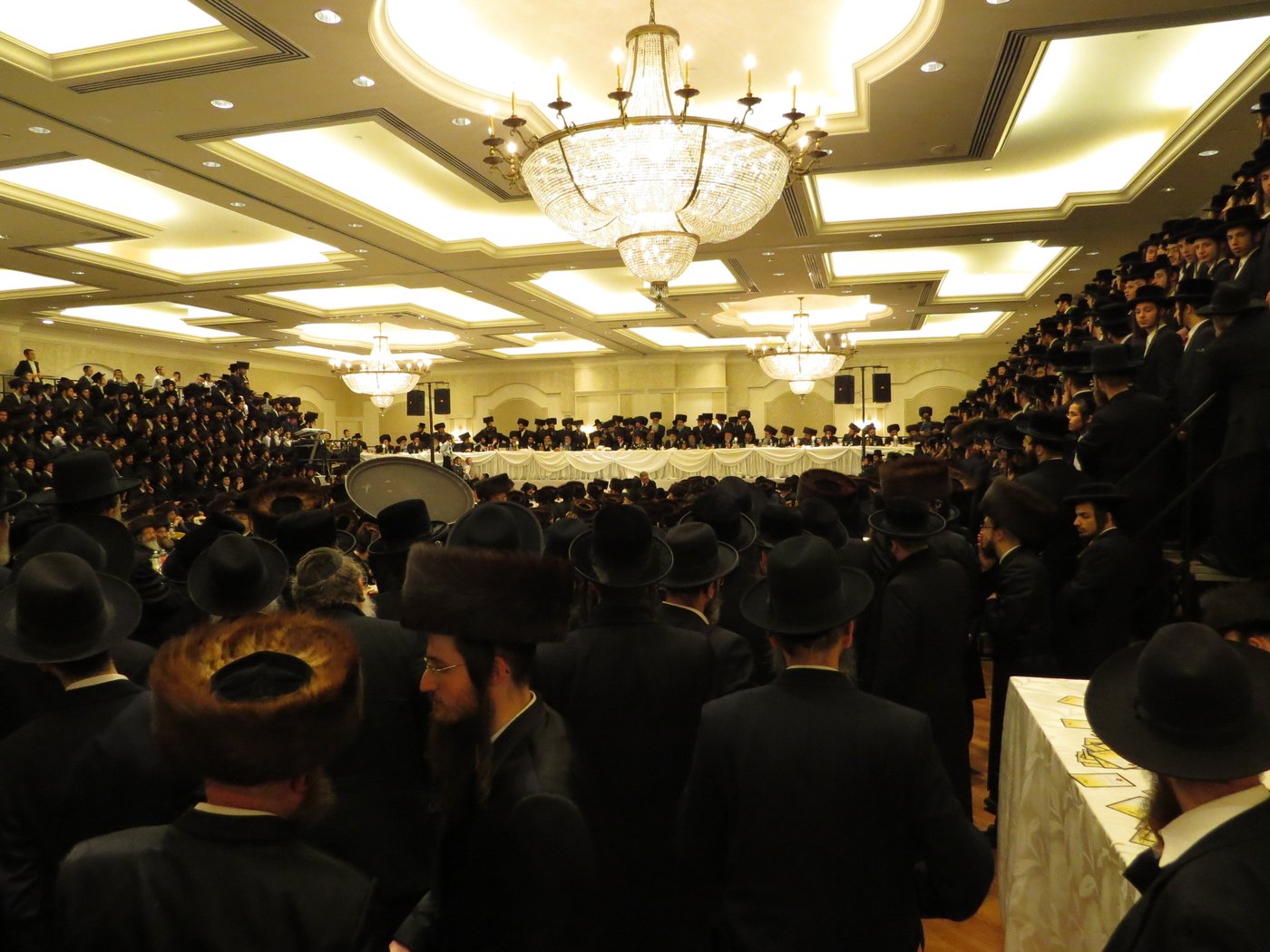 שבע ברכות לנכדי האדמו"רים מויז'ניץ ומסקווירא • גלריה