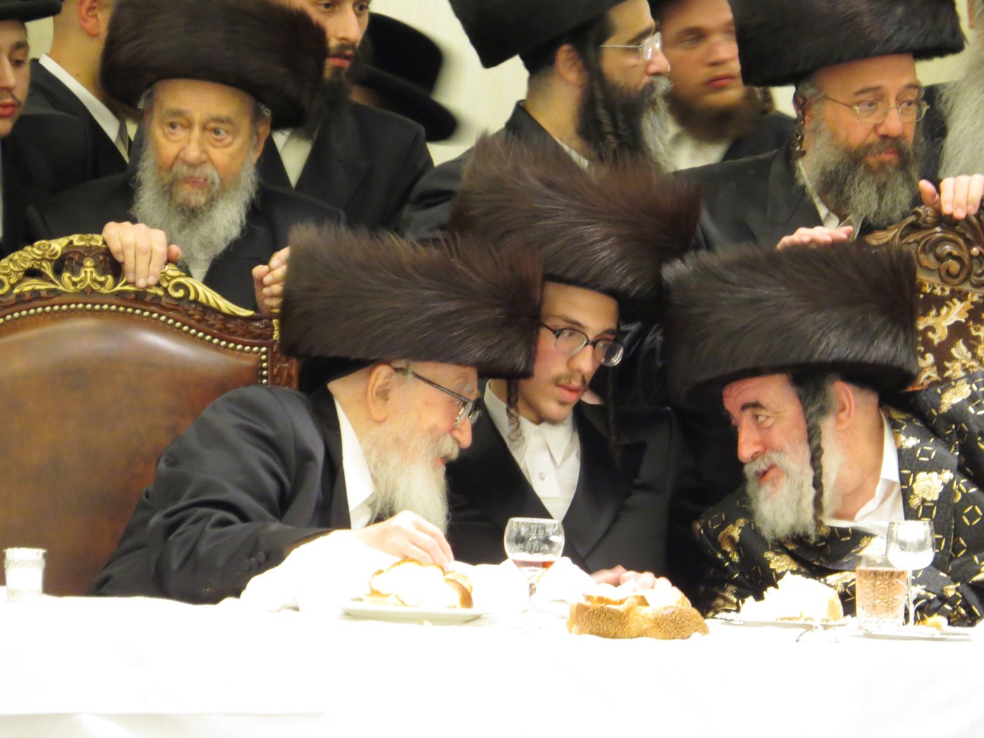 שבע ברכות לנכדי האדמו"רים מויז'ניץ ומסקווירא • גלריה