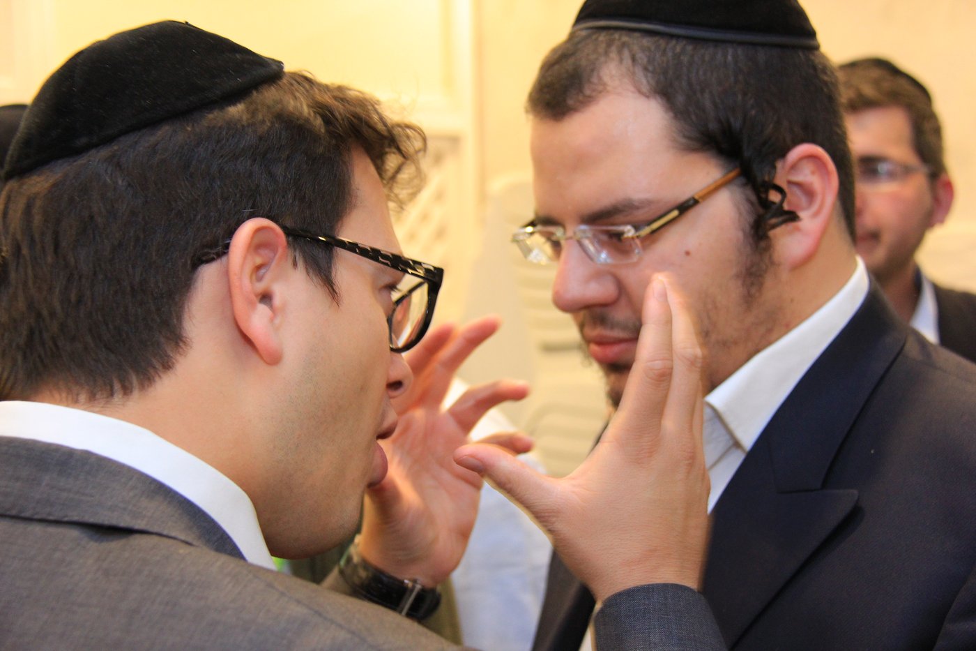 ארליך וקוק