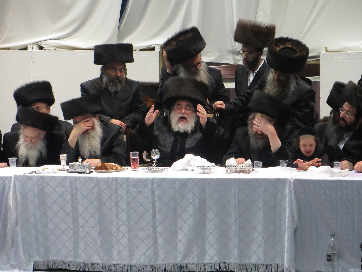 האדמו"ר מויז'ניץ בלונדון • גלריה