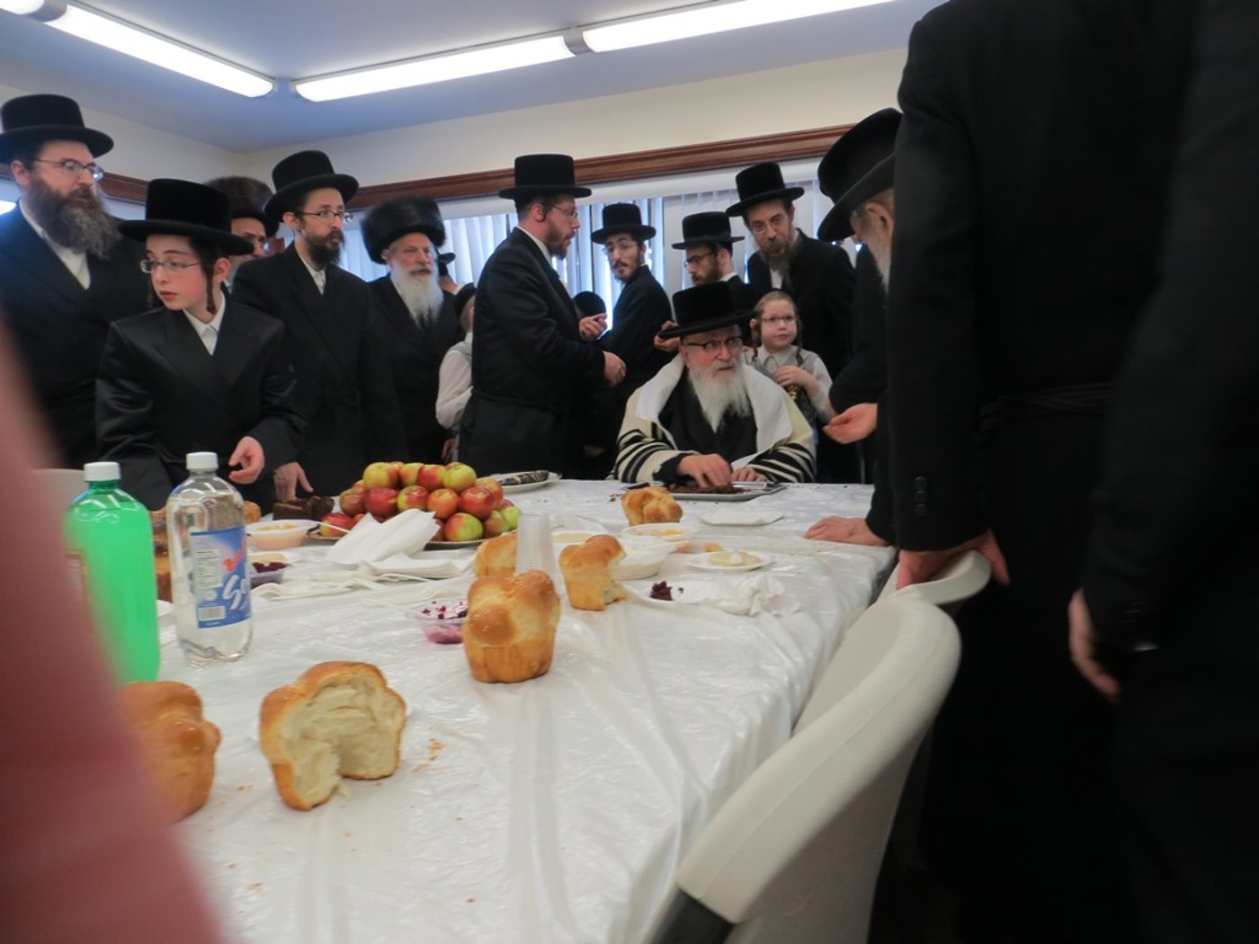 תיעוד: הנופש של הרבי מסקווירא בעיירה נייעק