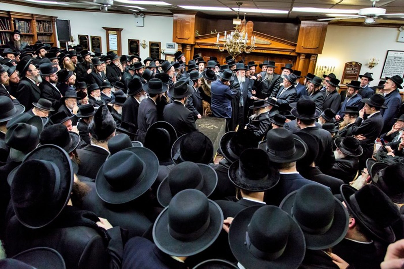 גלריה: בורו פארק ליוותה את הגאון רבי אברהם חיים שפיצר למנוחות