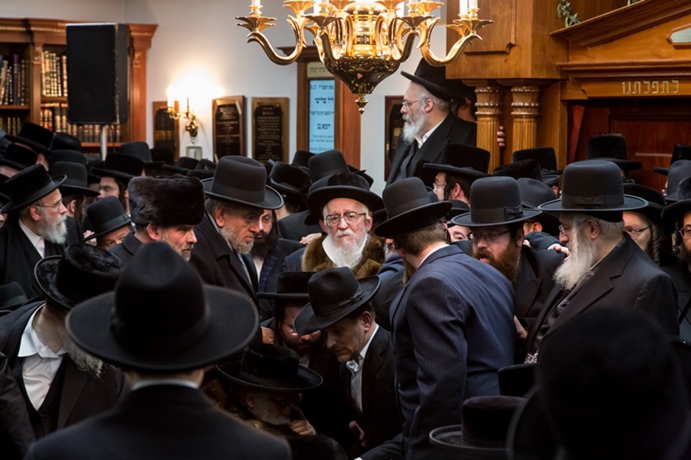 גלריה: בורו פארק ליוותה את הגאון רבי אברהם חיים שפיצר למנוחות