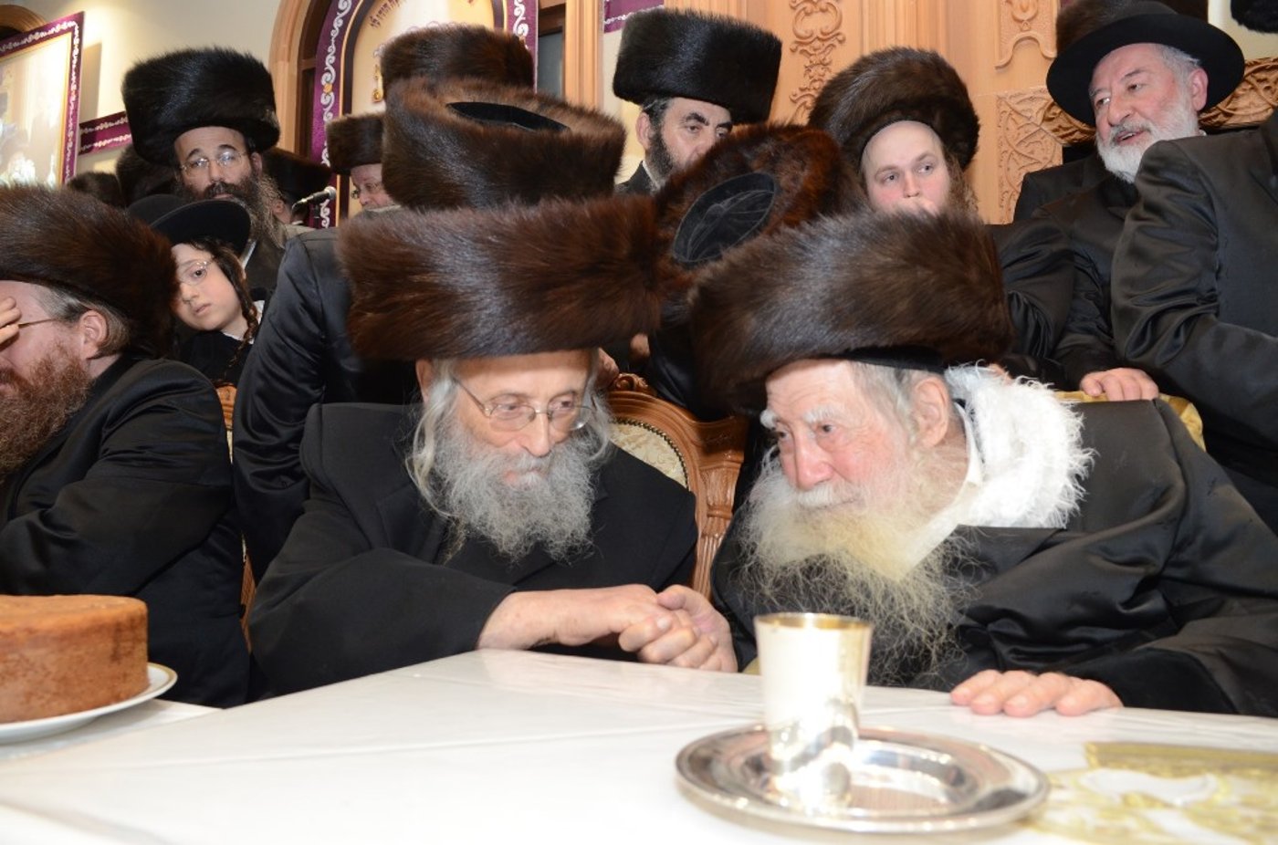 שבת "שבח ושירה" בחסידות ערלוי • תיעוד ענק