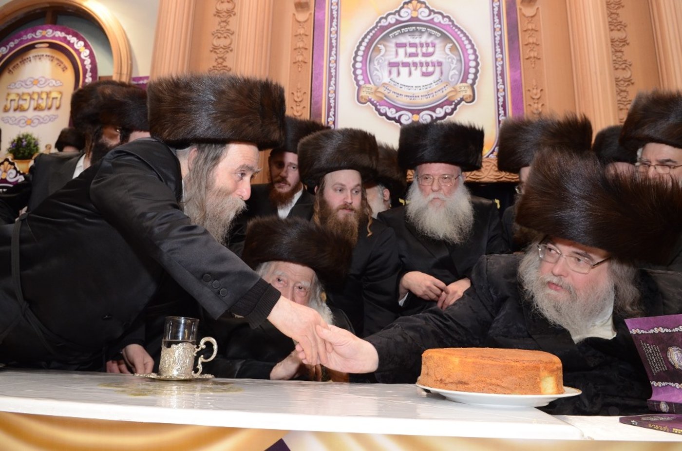 שבת "שבח ושירה" בחסידות ערלוי • תיעוד ענק