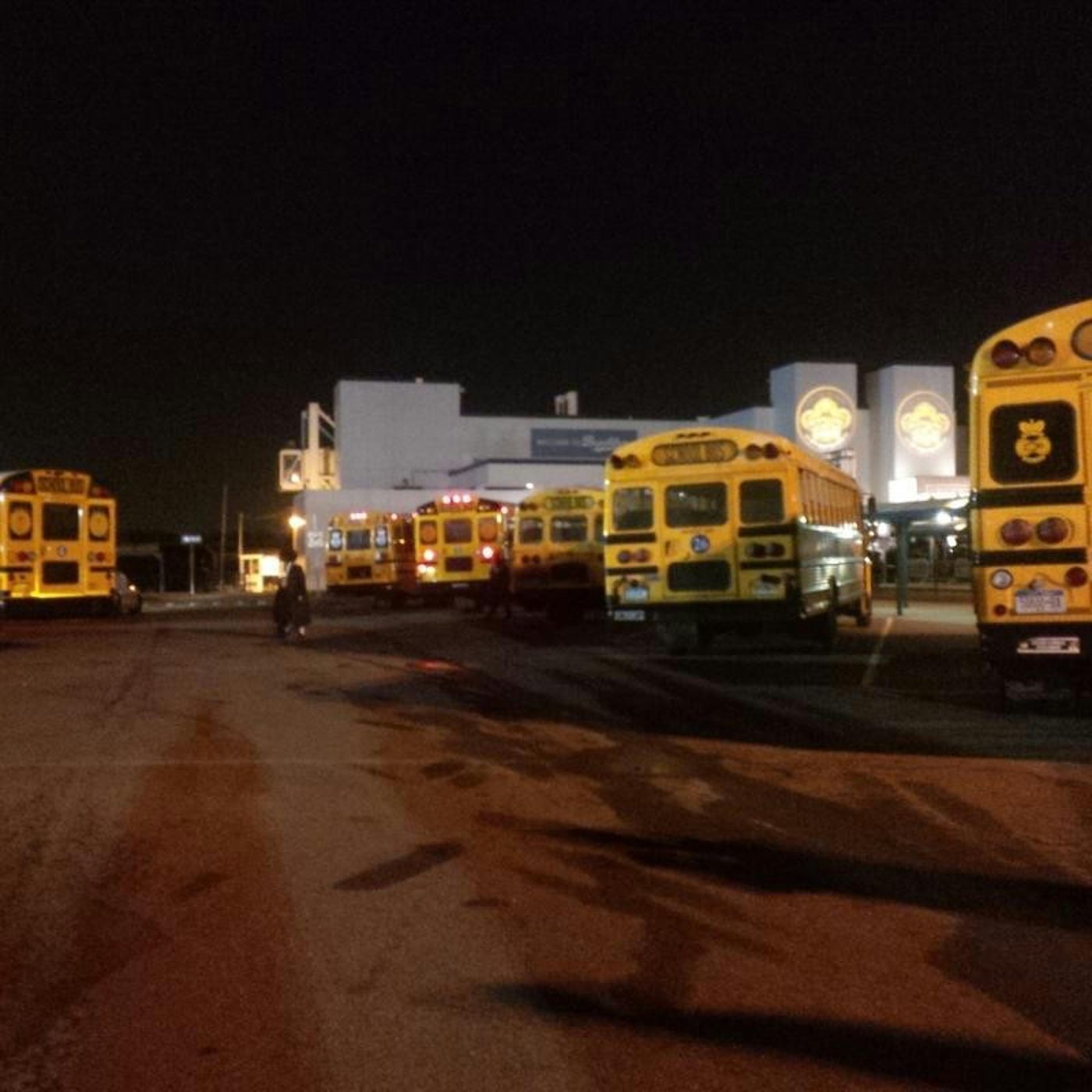 שמחת נישואי בת האדמו"ר מבאבוב • גלריה