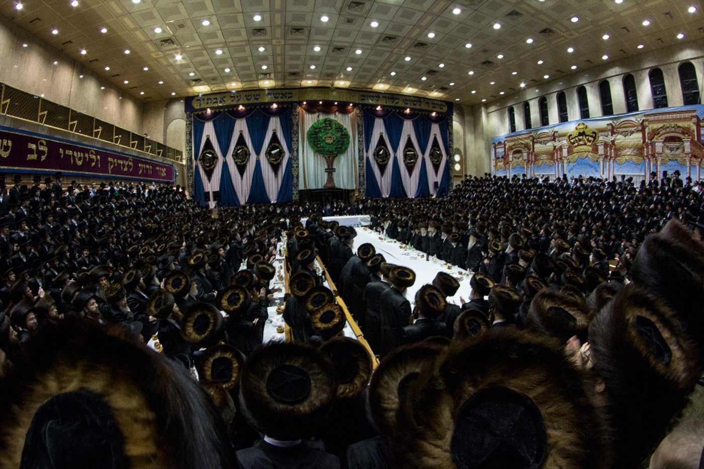 תיעוד ענק: שבע ברכות בבאבוב