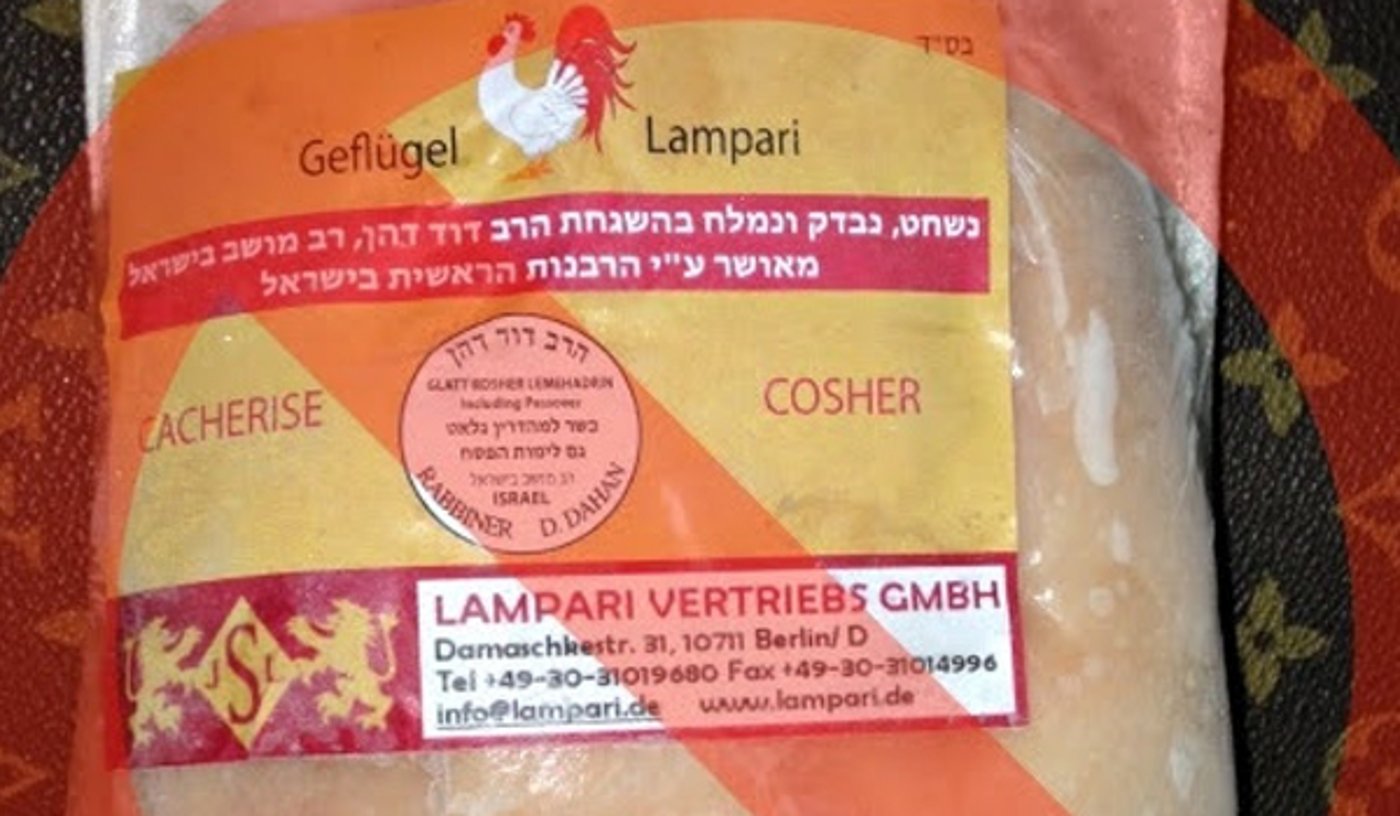 העוף שנתפס