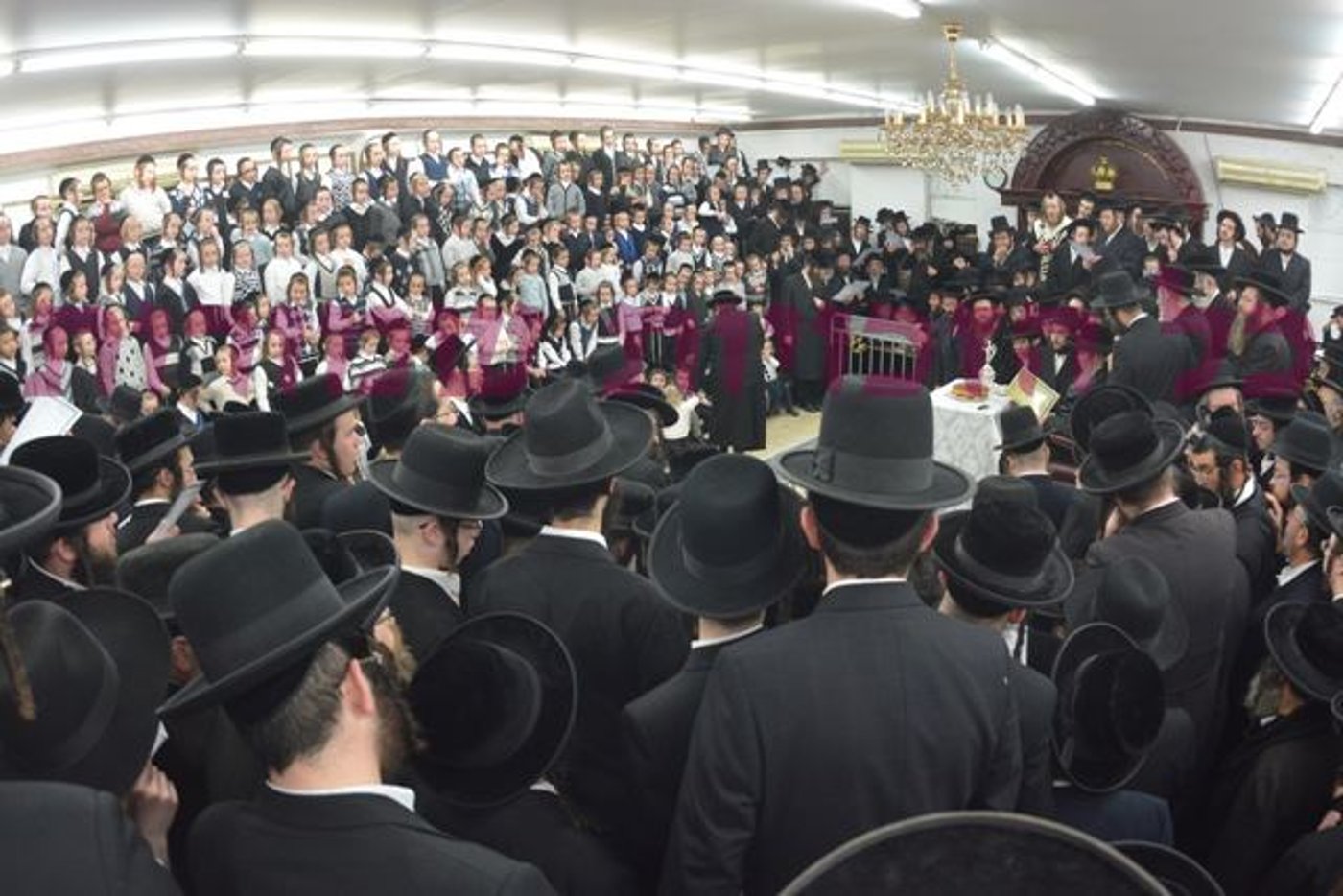 האדמו"ר מסאטמר: "נמסור את הנפש למען התורה, נקבל באהבה מכות רצח"