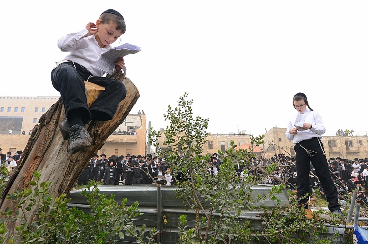 שישים ריבוא התאחדו נגד רדיפת לומדי התורה • גלריה מסכמת