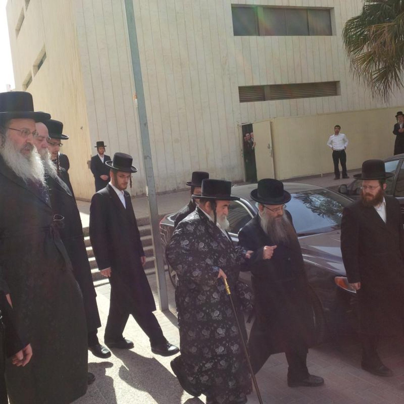 תיעוד: האדמו"ר מויז'ניץ בביקור אצל האדמו"ר מנדבורנה