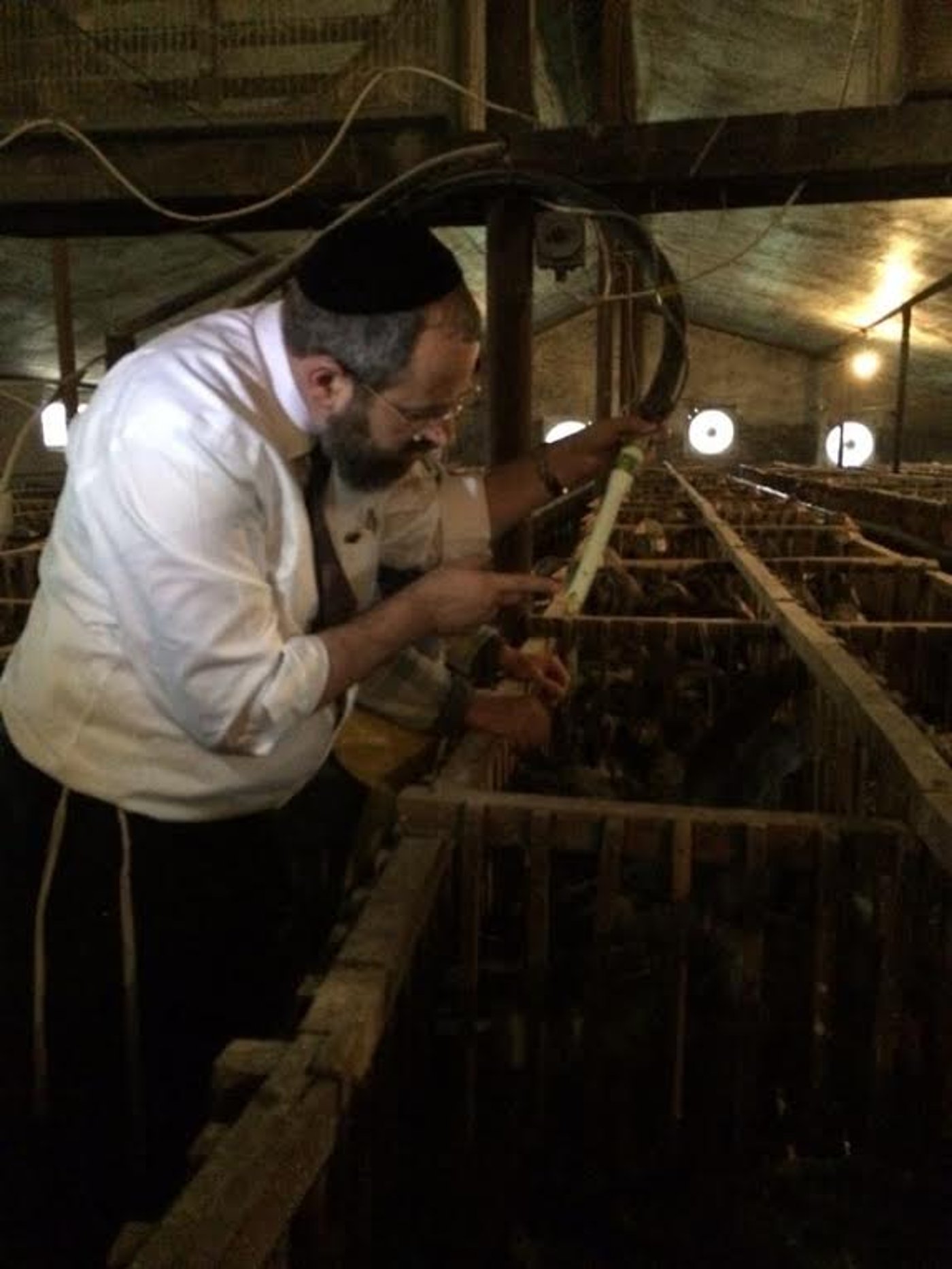 כך הפתיע הרב הראשי לישראל את השוחטים בהונגריה