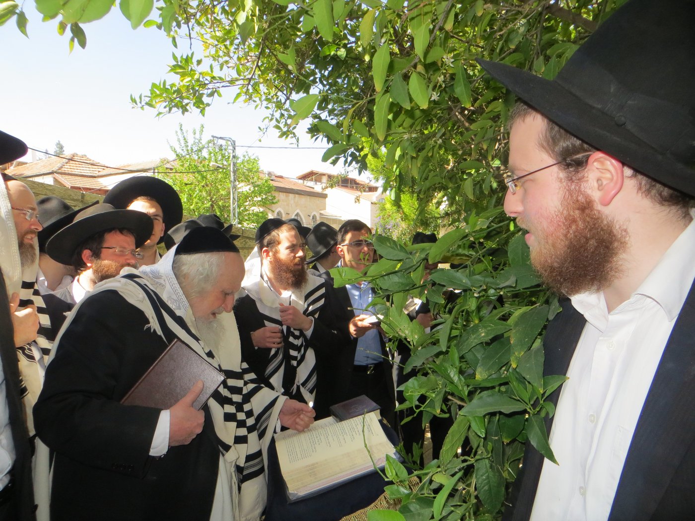 תיעוד: הרב שמואל אוירבך בברכת האילנות
