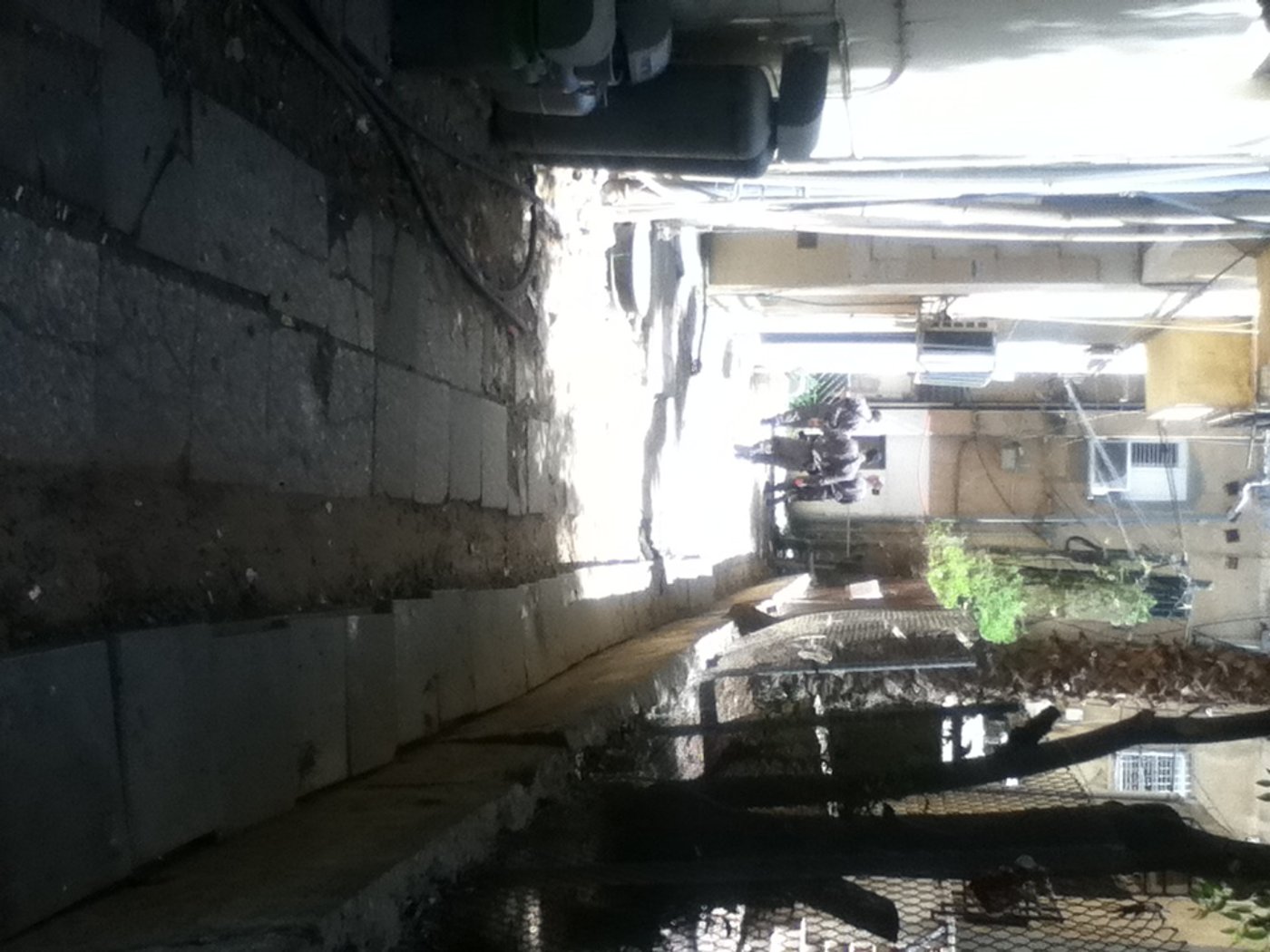 פתח תקווה: מרדף אחר גנבי רכב הסתיים בתאונה