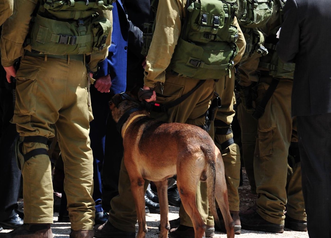 כלבן צה"ל עם כלבו