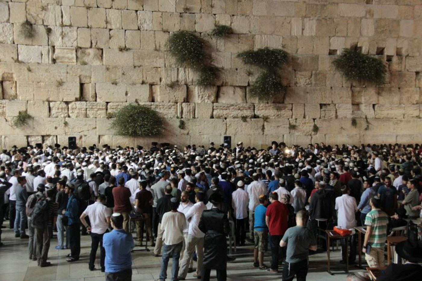 תיעוד ענק: התפילה בכותל המערבי לשלומם של שלושת החטופים