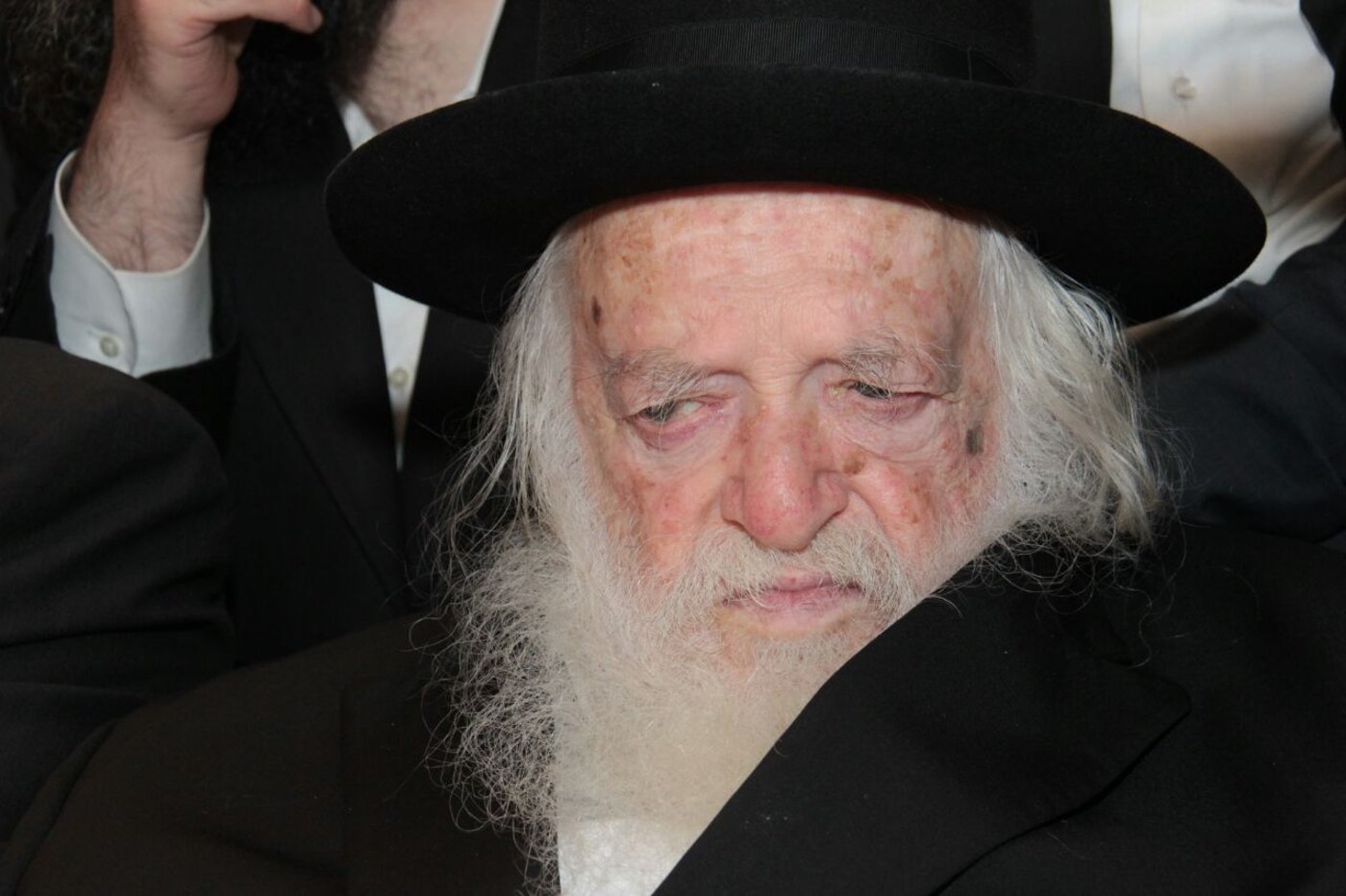 גלריה: הגר"ח קנייבסקי רקד אצל "המלך" אברהם רובינשטיין