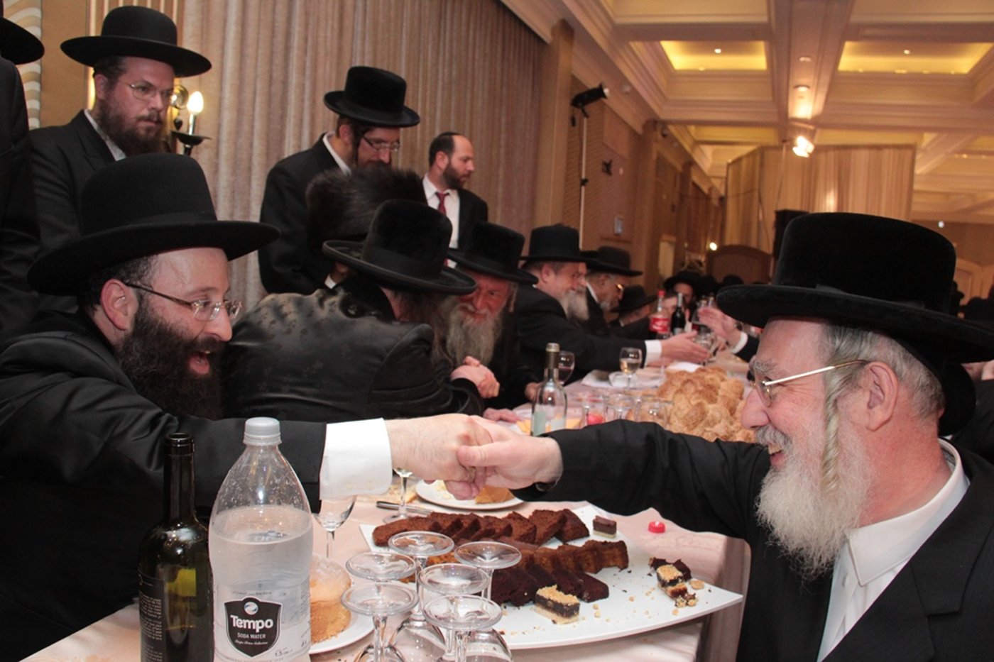 הרב שמואל רבינוביץ חיתן, כל המי ומי התייצבו • גלריה