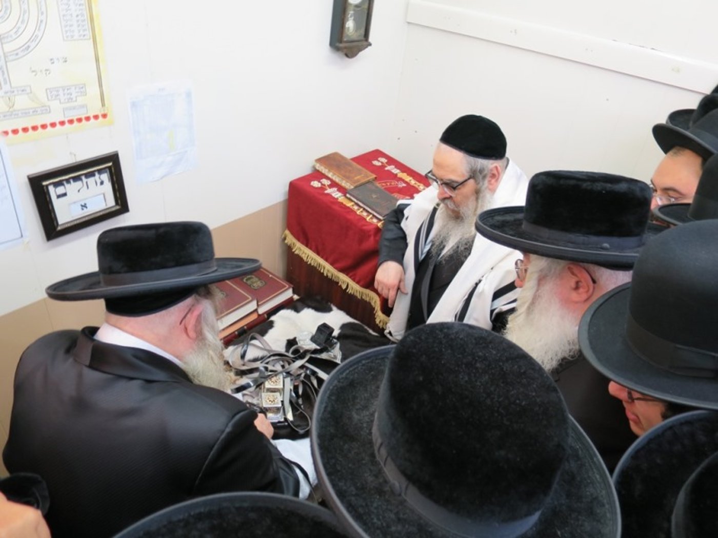 גלריה: האדמו"ר מסאטמר בנופש