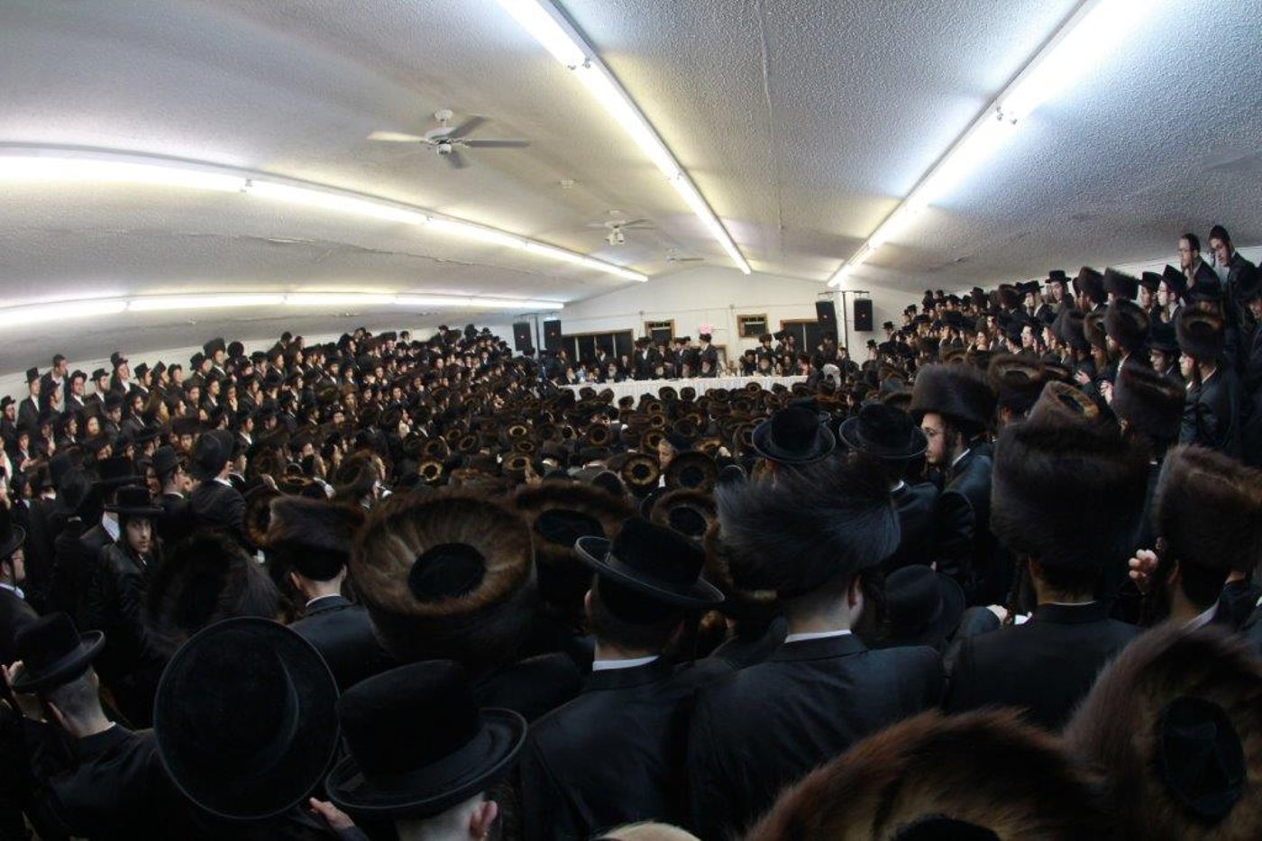 תיעוד ענק: טיש "יום ההצלה" בחסידות סקולען
