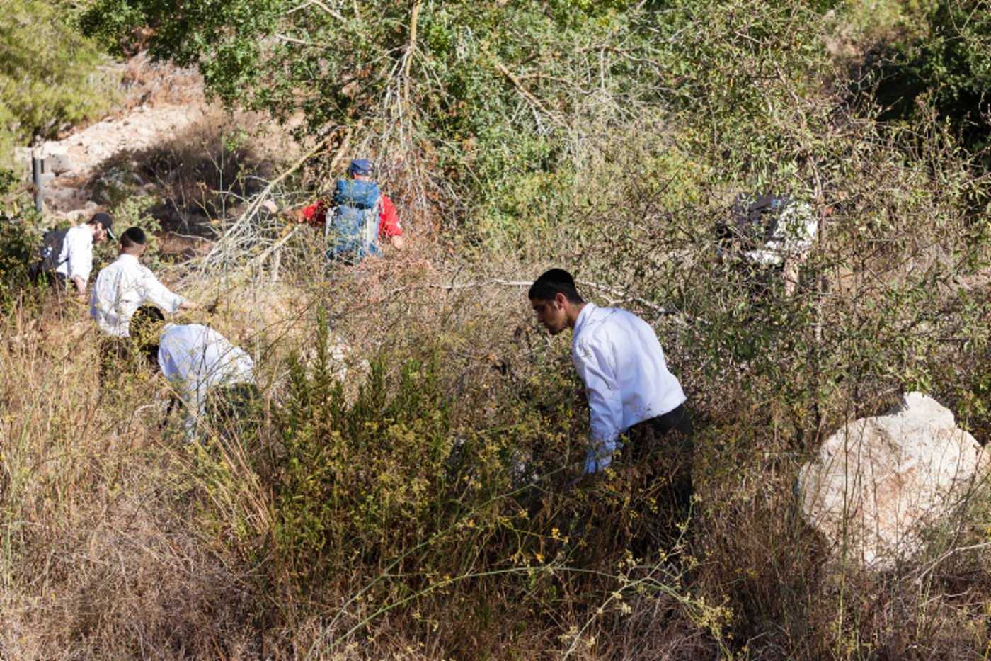 היעדרות אהרון סופר: הנעדר חרדי - החילונים מתעלמים