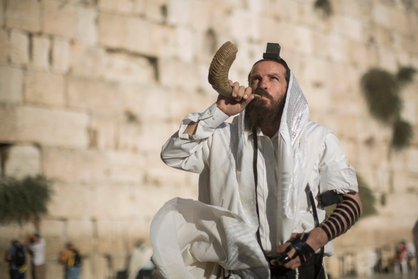 תופעה חמורה: פתקים מהכותל המערבי נחשפים ברשת