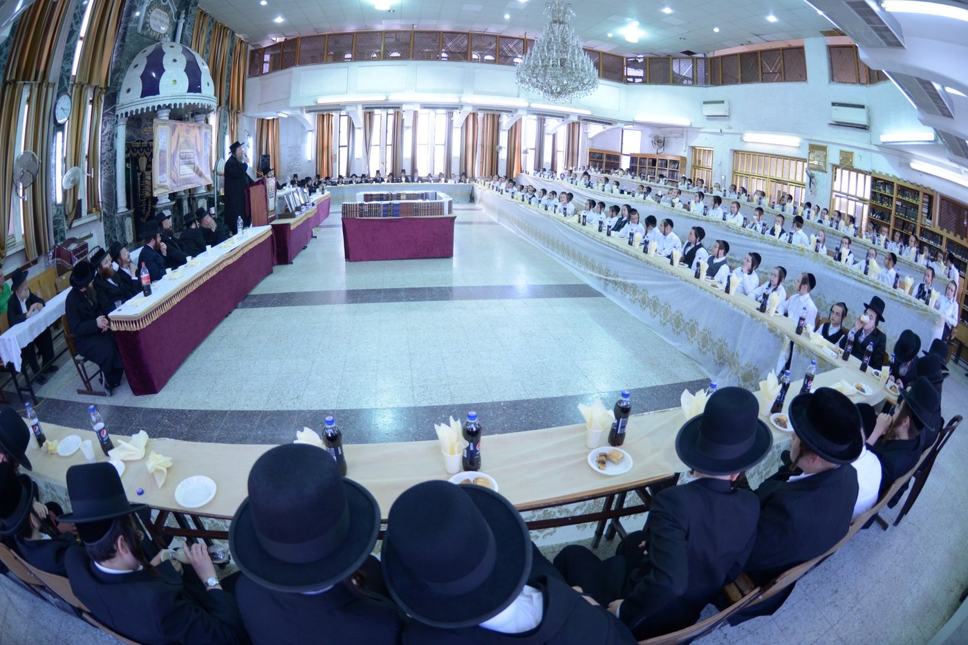 תיעוד: ילדי סאטמר ו'תלמודו בידו'