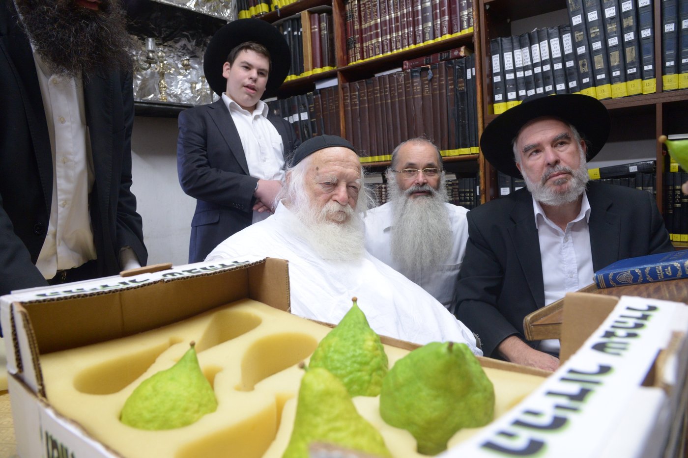 תיעוד מרהיב: הגר"ח קנייבסקי בבדיקת אתרוגים